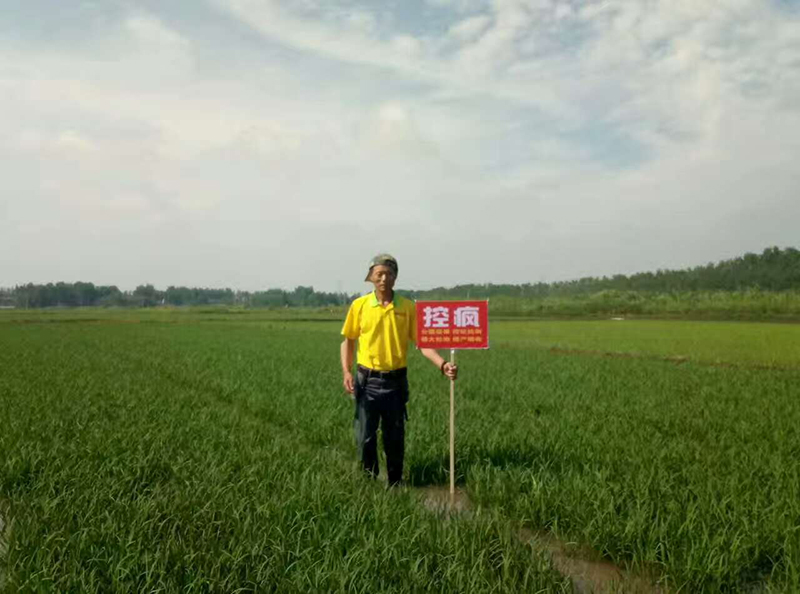 公安縣控瘋使用效果交流會(圖1) 公安縣控瘋使用效果交流會(圖1)