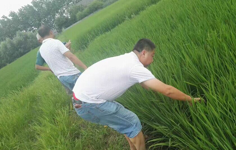 公安縣控瘋使用效果交流會(圖2) 公安縣控瘋使用效果交流會(圖2)