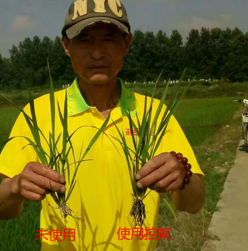 公安縣控瘋使用效果交流會(圖4) 公安縣控瘋使用效果交流會(圖4)