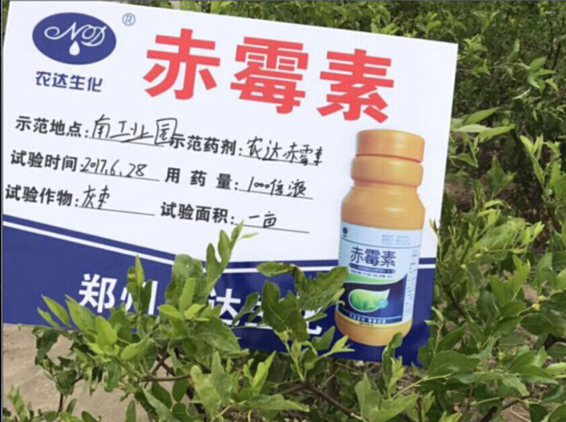 農達赤霉素在灰棗上的坐果試驗(圖2) 農達赤霉素在灰棗上的坐果試驗(圖2)