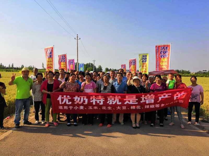 優(yōu)奶特現(xiàn)場(chǎng)測(cè)產(chǎn)觀摩會(huì)(圖4) 優(yōu)奶特現(xiàn)場(chǎng)測(cè)產(chǎn)觀摩會(huì)(圖4)