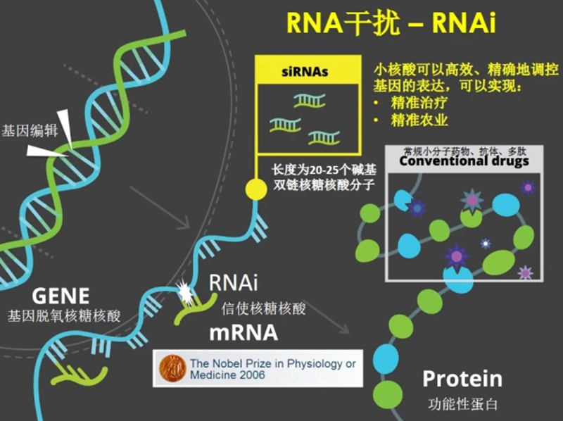 RNA生物農藥商業化及發展趨勢(圖1) RNA生物農藥商業化及發展趨勢(圖1)